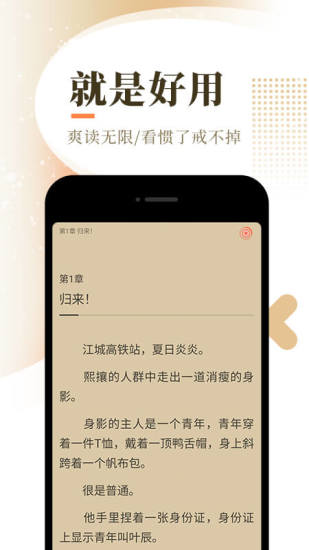 他心小说app