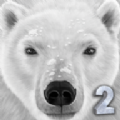 终极北极熊模拟器2无限经验无限血量