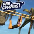 Pro Gymnastics游戏