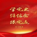 共青团“学党史、强信念、跟党走” 学习教育动员会直播观后感心得体会范文大全