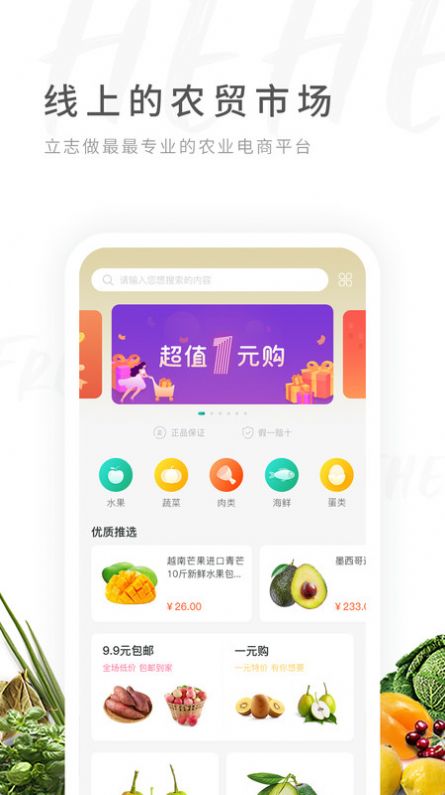 禾禾网app