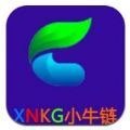 XNKG小牛链交易所app