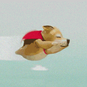 一只狗背火箭飞的表情图片
