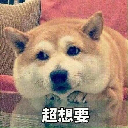 可爱柴犬表情包