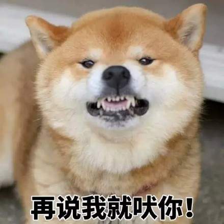 可爱柴犬表情包