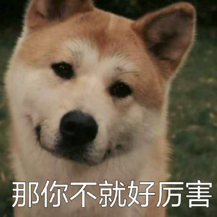 可爱柴犬表情包