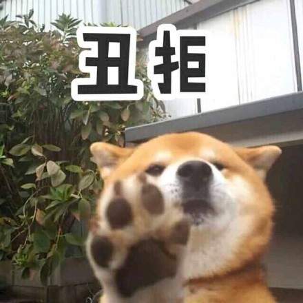 可爱柴犬表情包