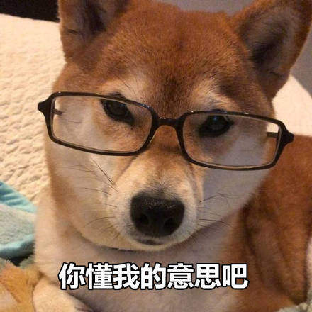 可爱柴犬表情包