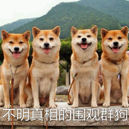 可爱柴犬表情包