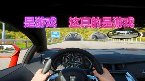 真实驾驶模拟器中文版