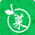 兜荔菜场