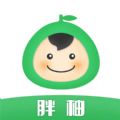 胖柚省钱APP