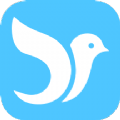 蓝小鸟app主题软件