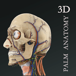 掌上3d解剖app