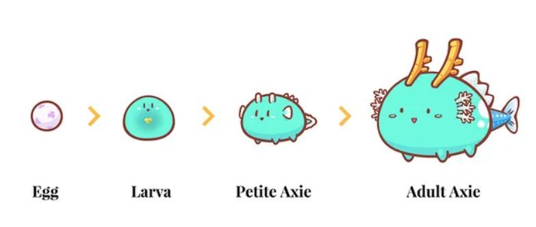 axie infinity图片1