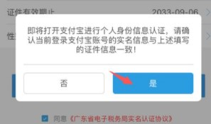 广东国税app图片8