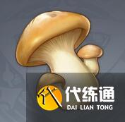 原神中常见的蘑菇产出地点和寻找方法