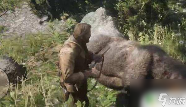 荒野大镖客传说大灰熊在哪 如何在荒野大镖客2中找到传说灰熊