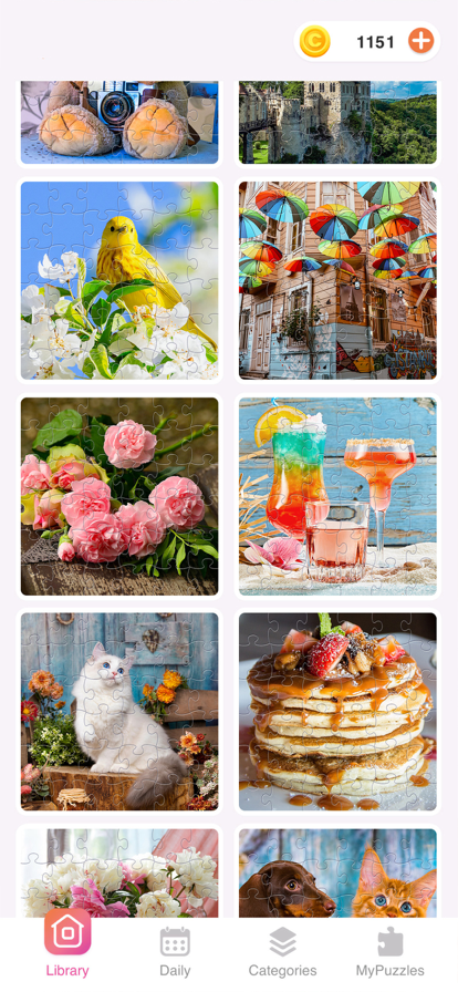 Jigsaw Puzzles Daily