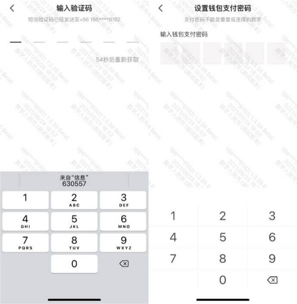 数字人民币app登录密码