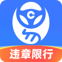 车行易查违章app