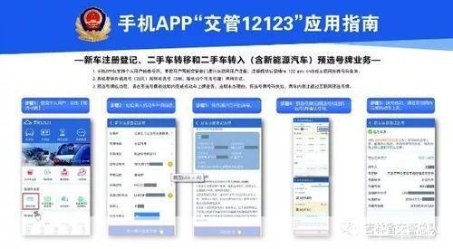详解交管12123的使用方法