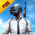 pubg国际服 手游下载2.9版本