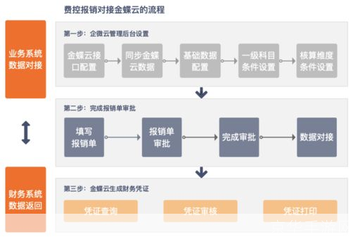 详细步骤指南：如何安装财会软件