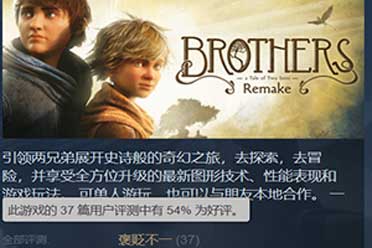 《兄弟：双子传说重制版》Steam褒贬不一 优化差没字幕