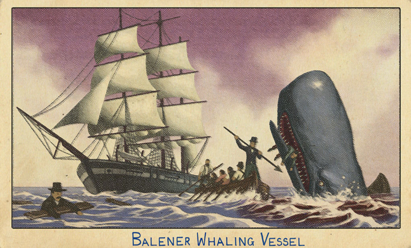 《荒野大镖客2》捕鲸船卡片在哪里获得