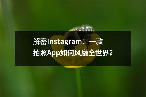 解密Instagram：一款拍照App如何风靡全世界？