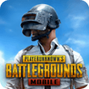 地铁逃生 正版官方下载手机版pubg