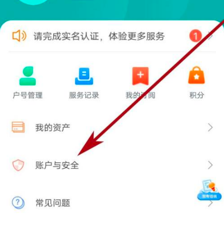 网上国网