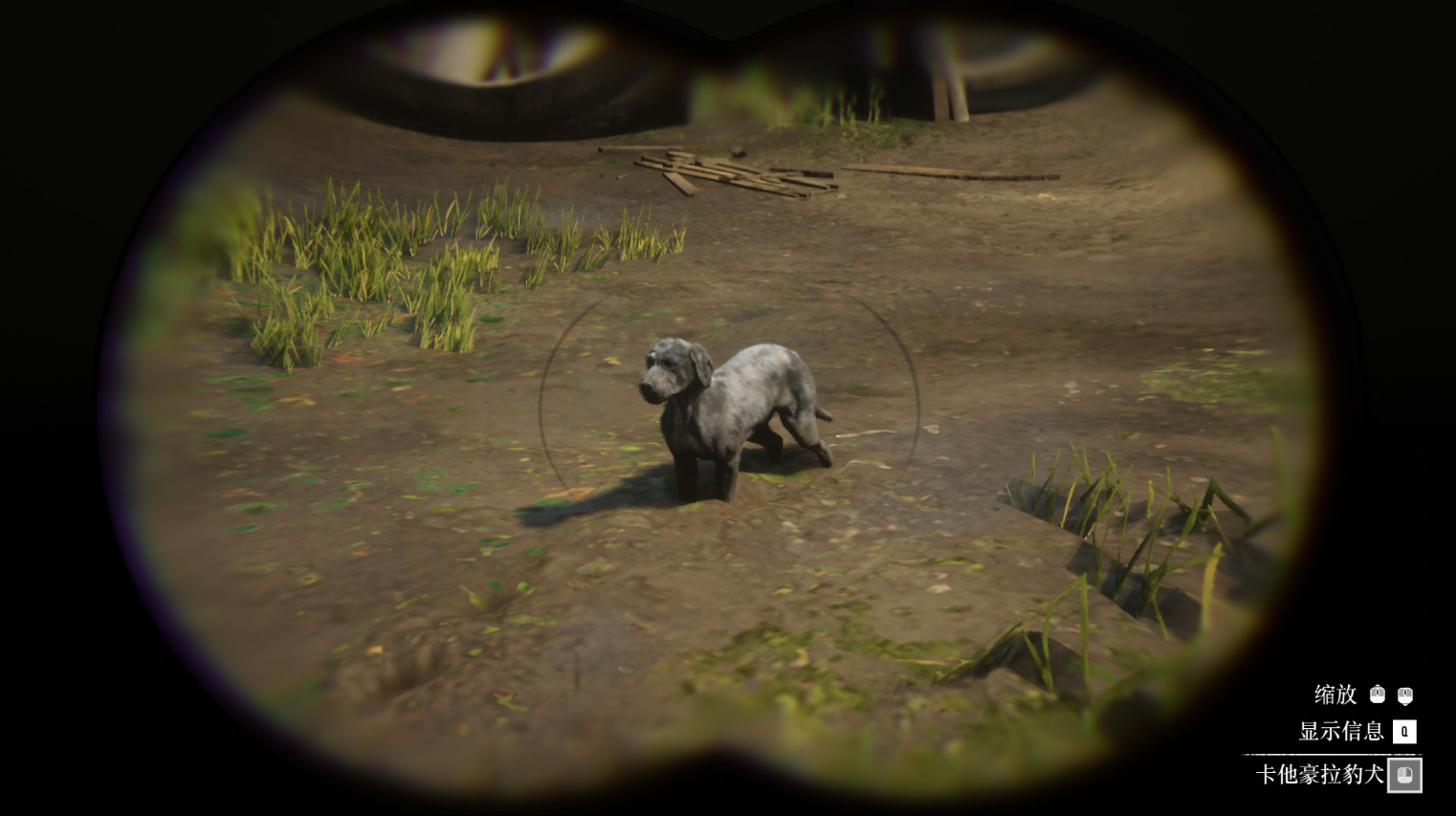 《荒野大镖客2》动物卡他豪拉豹犬在哪里找