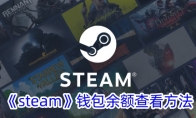 《steam》钱包余额查看方法