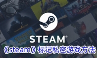 《steam》标记私密游戏方法