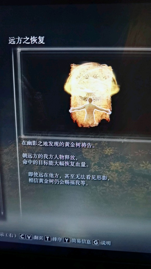 《艾尔登法环》dlc远方之恢复获得地点