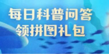 神奇海洋问题答案：哪种海洋鱼类的花纹会在生长过程中发生变化