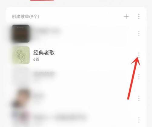 网易云音乐把单个歌单变成私密怎么弄