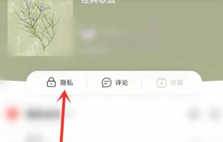 网易云音乐把单个歌单变成私密怎么弄