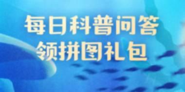 神奇海洋：海象的“胡须”有什么用途？