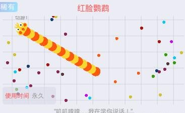 《贪吃蛇大作战》红脸鹦鹉皮肤图鉴