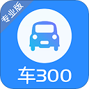 车300二手车 官网版